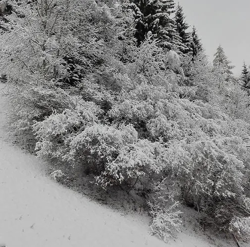 Brunner 3* Bad Kleinkirchheim